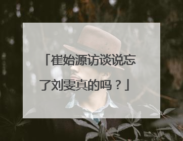 崔始源访谈说忘了刘雯真的吗？