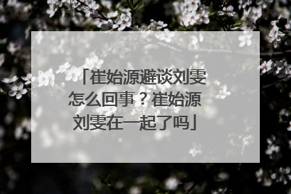 崔始源避谈刘雯怎么回事？崔始源刘雯在一起了吗