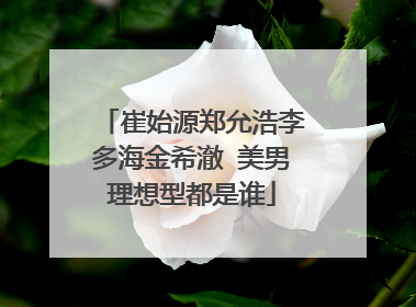 崔始源郑允浩李多海金希澈 美男理想型都是谁