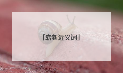 崭新近义词