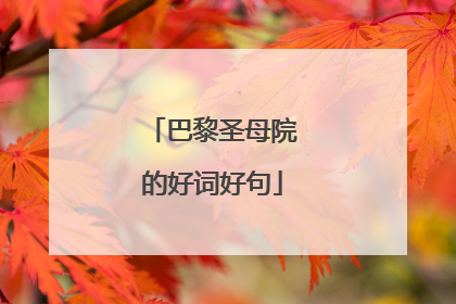 巴黎圣母院的好词好句