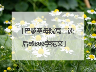 巴黎圣母院高三读后感800字范文