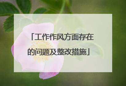 工作作风方面存在的问题及整改措施