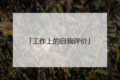 工作上的自我评价