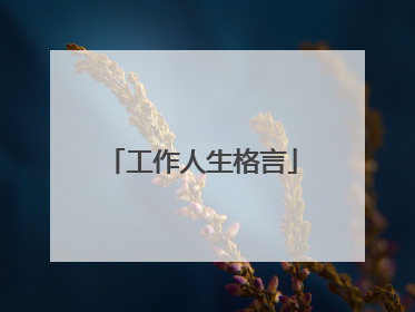工作人生格言