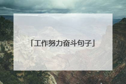 工作努力奋斗句子