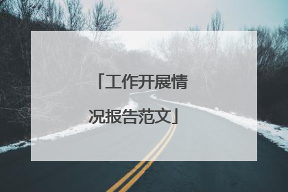 工作开展情况报告范文