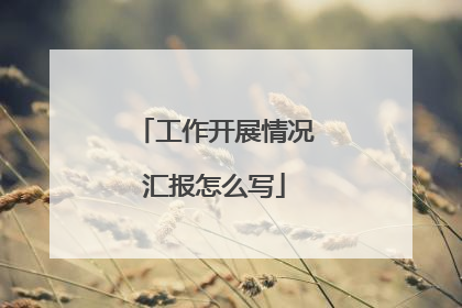 工作开展情况汇报怎么写