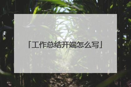 工作总结开端怎么写