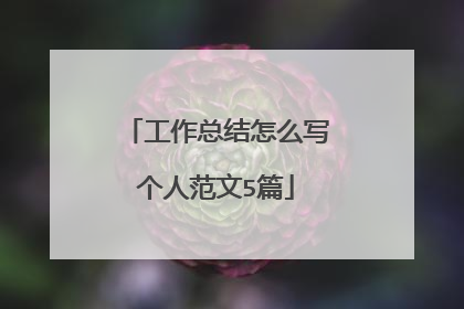 工作总结怎么写个人范文5篇