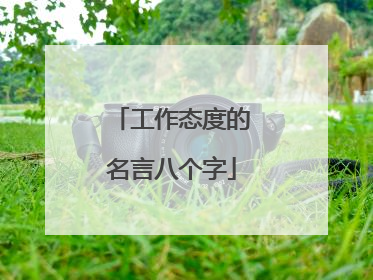 工作态度的名言八个字