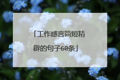 工作感言简短精辟的句子60条