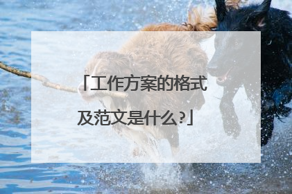 工作方案的格式及范文是什么?