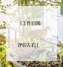 工作自我评价左右