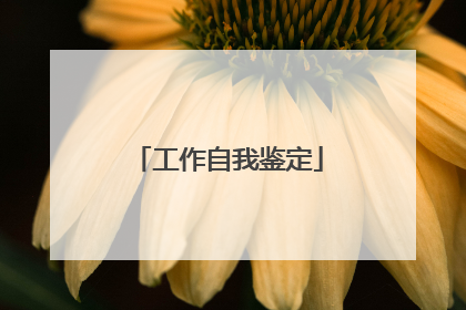工作自我鉴定