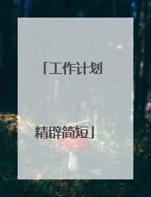 工作计划精辟简短