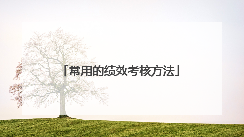 常用的绩效考核方法