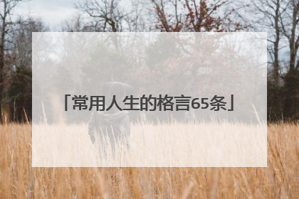 常用人生的格言65条