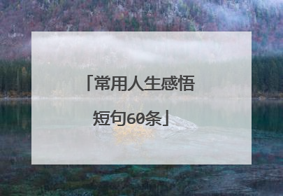 常用人生感悟短句60条