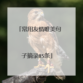 常用友情唯美句子摘录85条