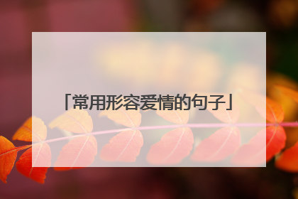 常用形容爱情的句子