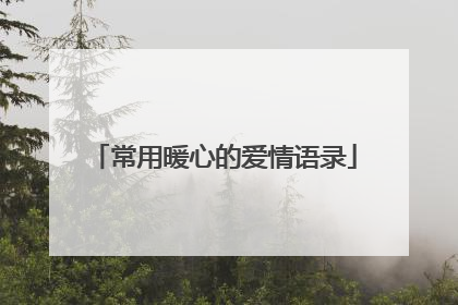 常用暖心的爱情语录