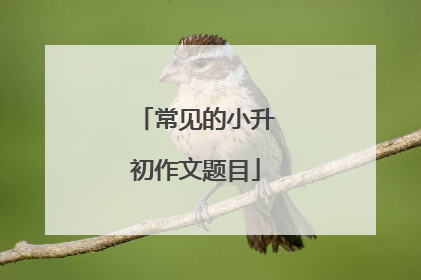 常见的小升初作文题目