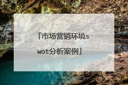 市场营销环境swot分析案例