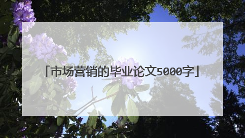 市场营销的毕业论文5000字