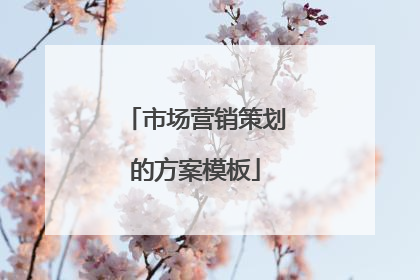 市场营销策划的方案模板