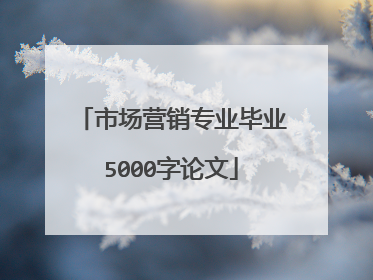 市场营销专业毕业5000字论文