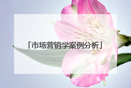 市场营销学案例分析