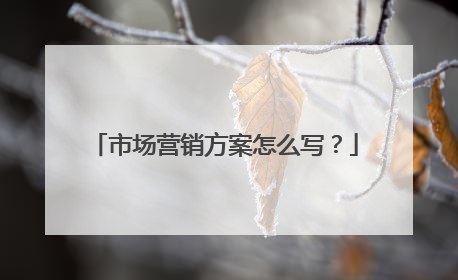 市场营销方案怎么写？