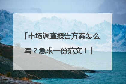 市场调查报告方案怎么写？急求一份范文！