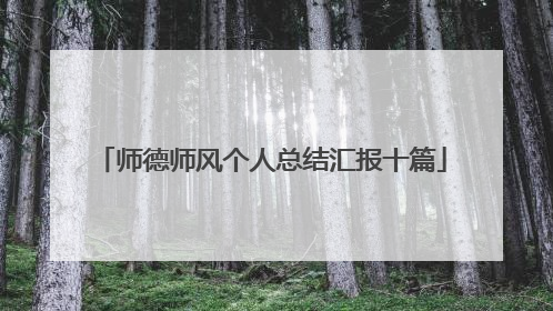 师德师风个人总结汇报十篇