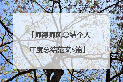 师德师风总结个人年度总结范文5篇