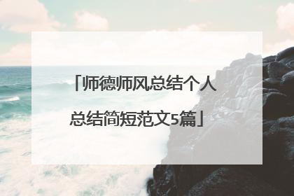 师德师风总结个人总结简短范文5篇
