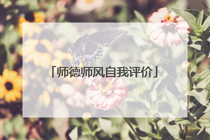 师德师风自我评价