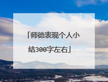 师德表现个人小结300字左右