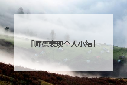 师德表现个人小结