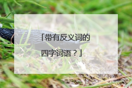 带有反义词的四字词语？