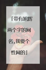 带有旭辉两个字的网名,我要个性网的