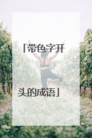 带色字开头的成语