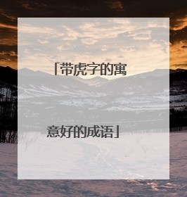 带虎字的寓意好的成语