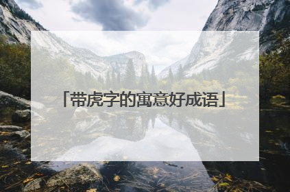 带虎字的寓意好成语