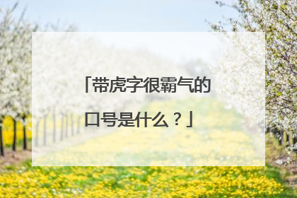 带虎字很霸气的口号是什么？