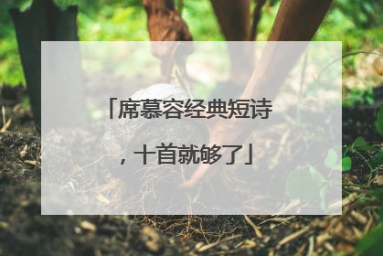席慕容经典短诗，十首就够了