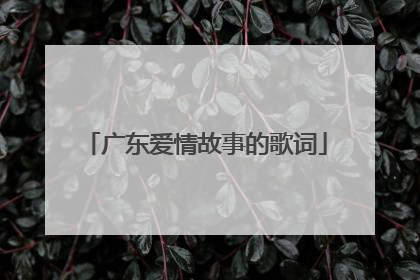 广东爱情故事的歌词