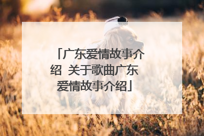 广东爱情故事介绍 关于歌曲广东爱情故事介绍