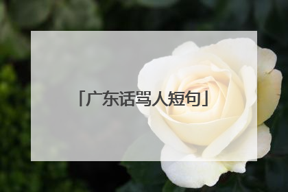 广东话骂人短句
